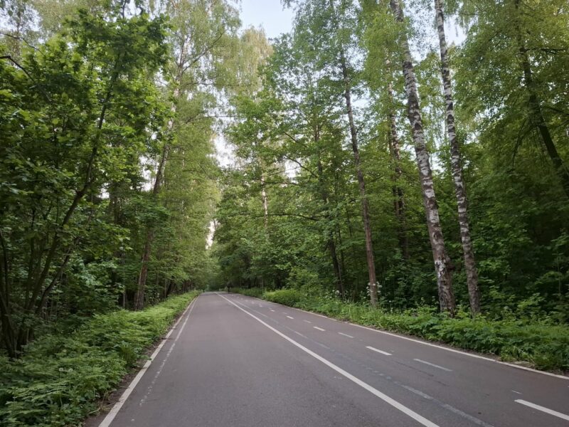 Дорожки в парке Лосиный остров, состояние на 8 июня 2026 по отзыву, фото 1. 
